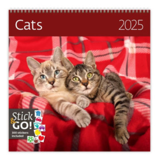 Kalendár nástenný malý CATS 2025