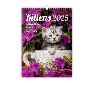 Kalendár nástenný KITTENS 2025