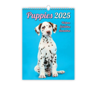 Kalendár nástenný PUPPIES 2025