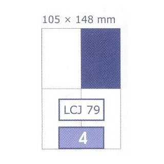 ETIKETY UNI 105x148 BIELE DATA LCJ 79,  100 hárkov, 400 ks