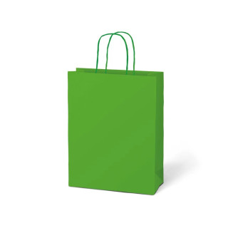 Papierová darčeková taška zelená 260x320x100 mm